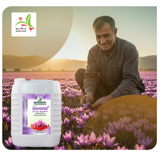 پالیز کشت