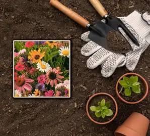 بذر ترکیب گل های جذب کننده حشرات مفید و مبارز آفات