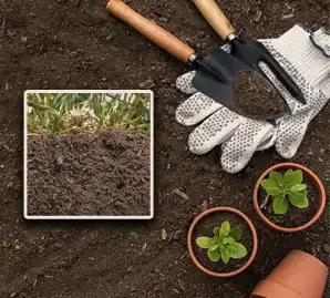 خاک آماده کاشت مخصوص انواع گیاهان